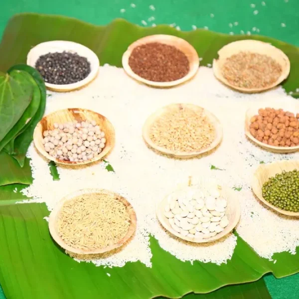 upanayana ceremony punarvasu